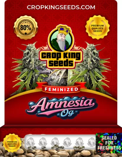 amnesia og-image